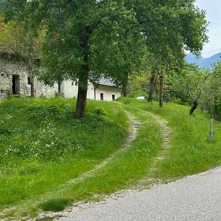 Krtajse Holiday home